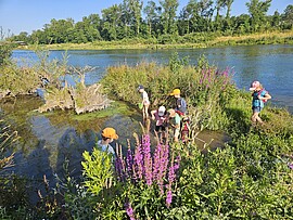 Banner Exkursion am Isarstrand Dingolfing / für Kinder und Jugendliche