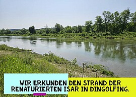 Banner Exkursion am Isarstrand Dingolfing / für Kinder und Jugendliche