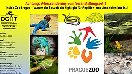 Banner Inside Zoo Prague – Warum ein Besuch ein Highlight für Reptilien- und Amphibienfans ist!