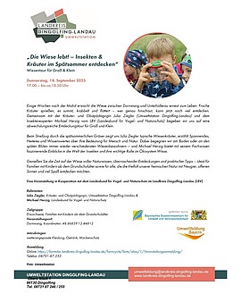 Banner Wiesentour für Groß und Klein - Insekten & Kräuter im Spätsommer entdecken