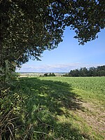 Logo Naturerlebnis Wanderung - Dellendorfer Holzwiesenweg